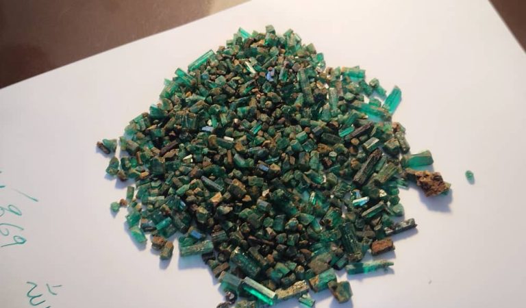 WhatsApp Image 2025-09-02 at 13.37.13_69a8ab7a