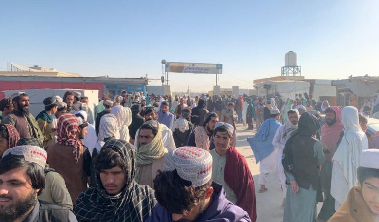 WhatsApp Image 2025-10-15 at 9.10.28 AM