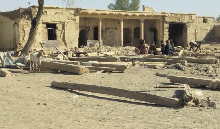 WhatsApp Image 2025-10-16 at 22.16.44_6c02139b