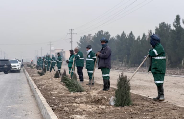 WhatsApp Image 2026-01-26 at 1.36.59 PM (1)