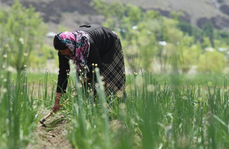 Women-Seed-Farmers_10-scaled