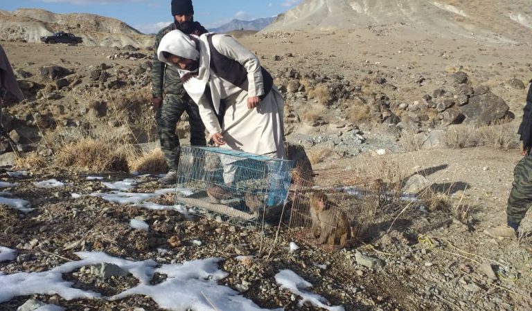 a6c329b5-3329-4358-b212-de7c778cd243