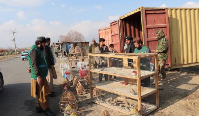 a7ed8cef-b5ae-407b-b94a-64b87d216dd9