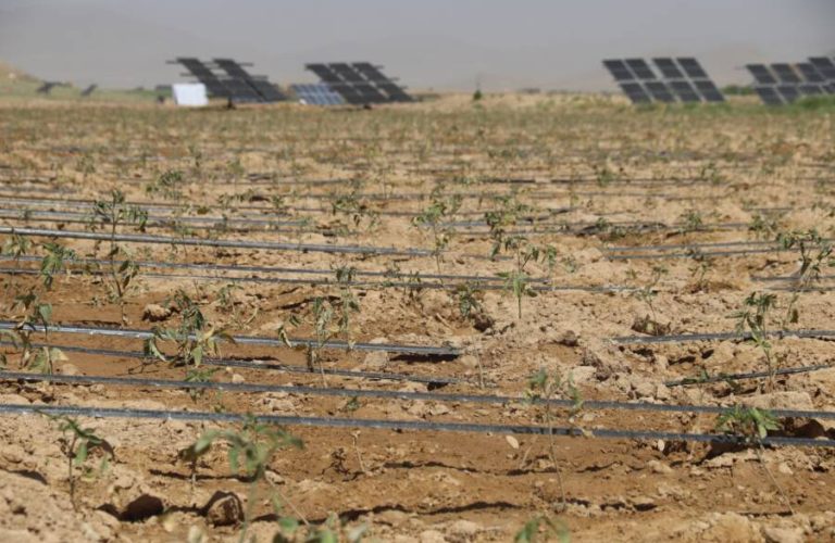 ac4f8232-b396-40e8-b96a-9db229b35eef