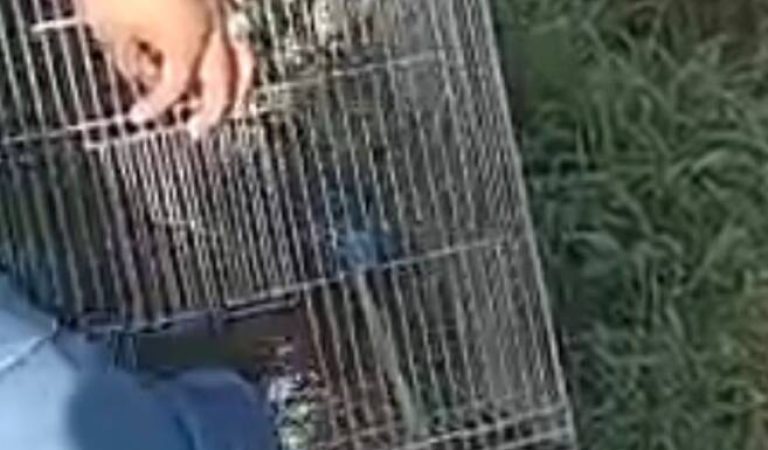 bded0f3d-9444-4283-a802-7cf4ba5e7148