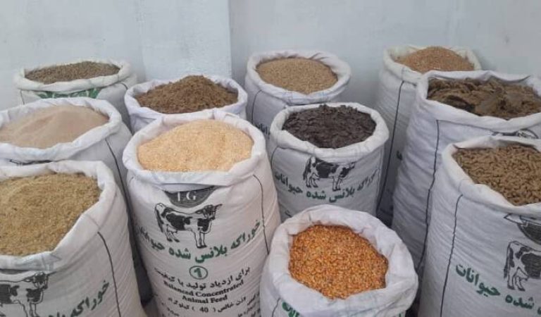 cd9ea8ce-f061-4f4a-ad3f-20faf856fd82