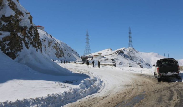 d2487a11-cd04-4b02-acbe-e76310ff7b3b