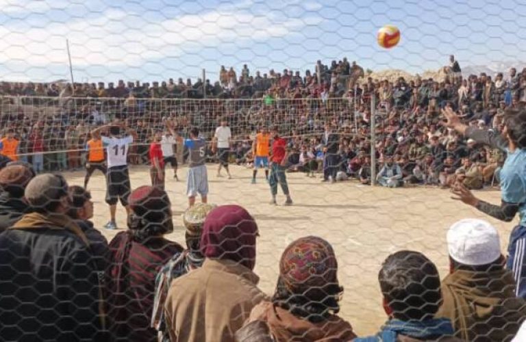 d8e72071-26c9-4d78-9cd8-4810388829d0