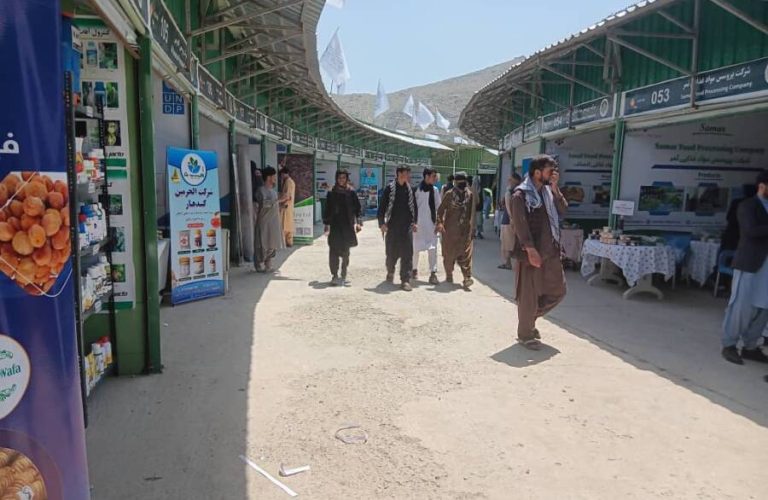 e24f5462-daa3-413f-a16b-eba6c8b44816