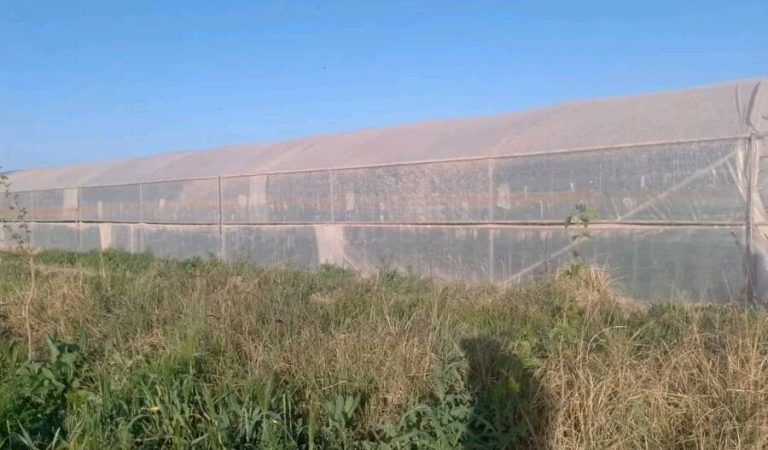 e4e4f293-61ef-4d6f-837e-0b3a5574c2af