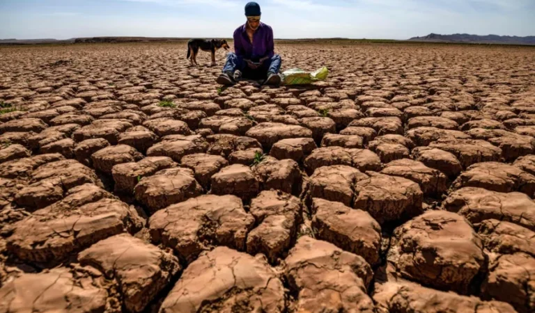 e7b3e09f642d544c325ee258afe1fc64b1d12b4724e0f965b1265a24a11e286a