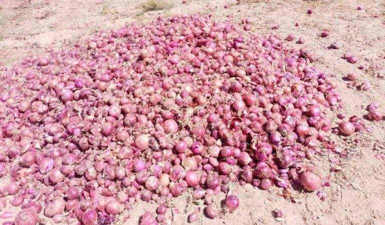 fa5cffe5-6bf0-4e37-b968-1100f13dbaba (1)