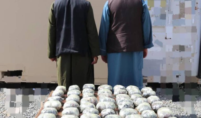 fad1c5e3-2db5-4f11-a96a-88bd0f811858