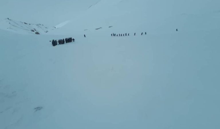 ffc0c9c7-33aa-4652-b349-dba88b0dcb04