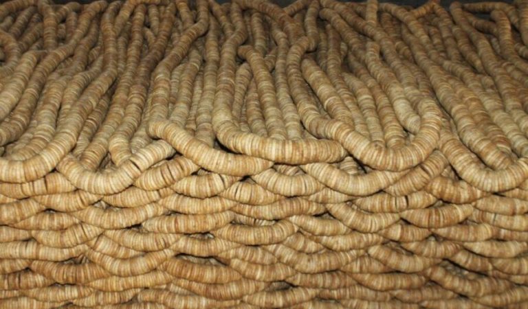 انځر کندهار