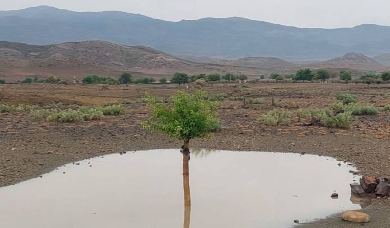 باران رطوبت