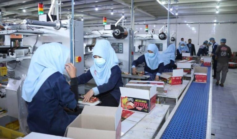 تولیدي فابریکې