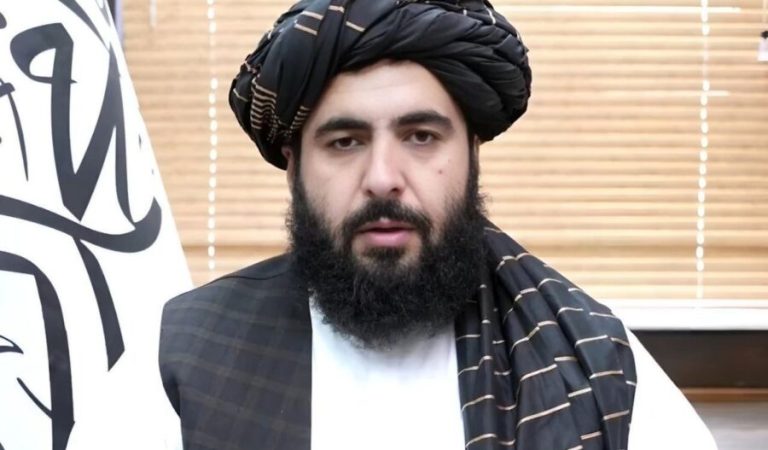 حمدالله فطرت