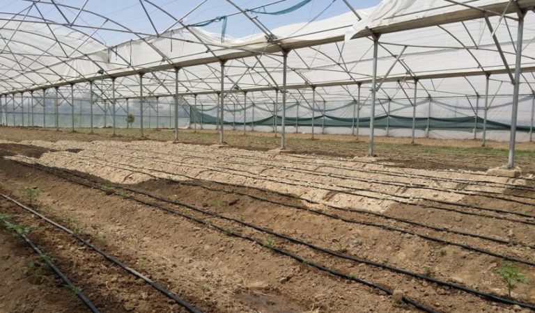 د-راپور-تصويرونه-3-1-1-850x531