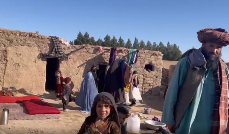 راستنې شوې کورنۍ