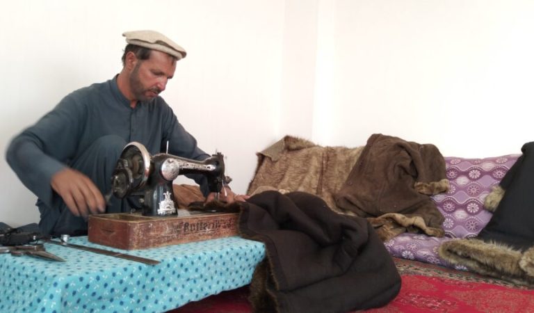 غزني پوستین ګنډونکی