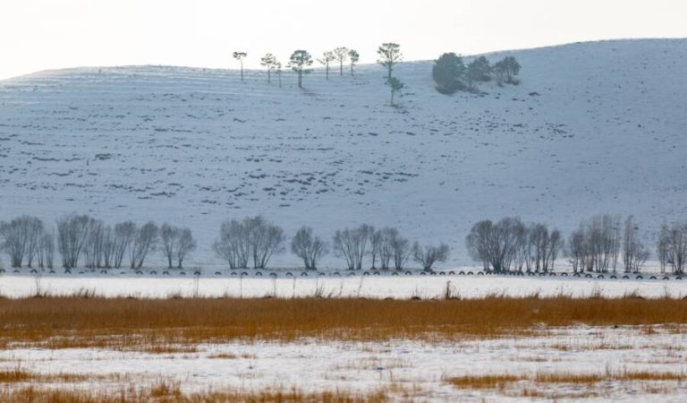 فاریاب وچکالي ورښتونه