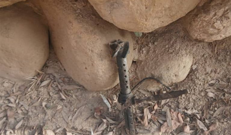 ناچاوده ممرمۍ فاریاب