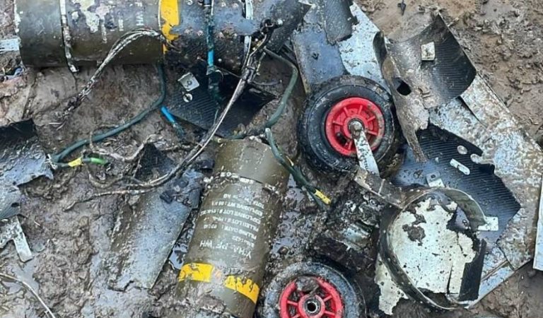 هند پوځ پاکستان بې‌پیلوټه غورځول