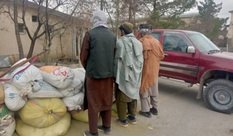 پکتیا نشه‌يي توکي