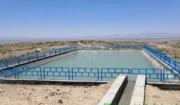 پکتیکا پروژې