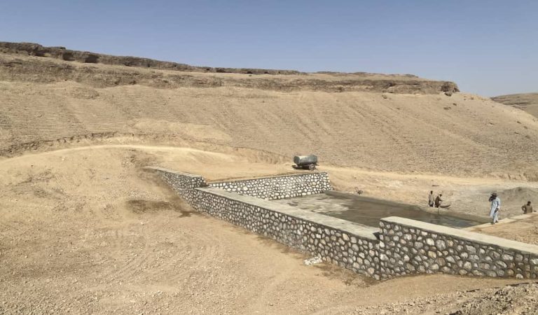 چکډیم موسی‌کلا (1)