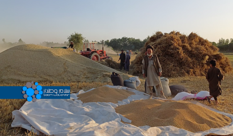 کشاورز در تخار