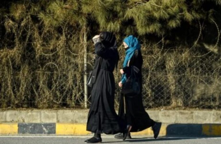 کورنۍ تفریحي سیمې