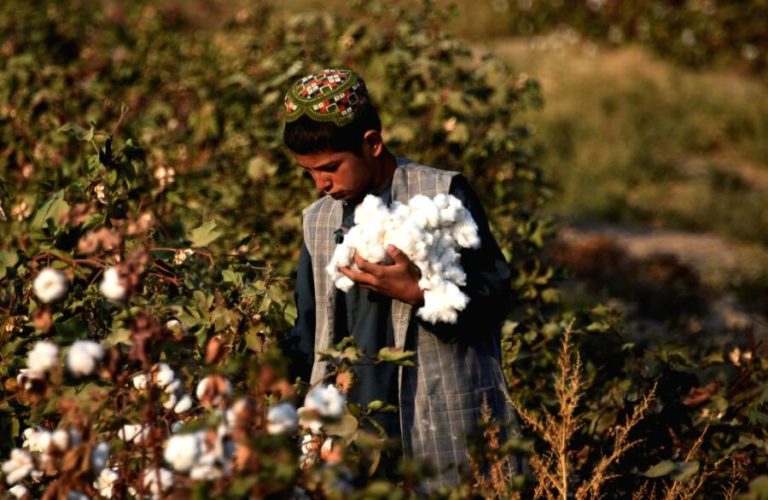 افغانستان ۷۳۷ میلیون دالر ارزشی‌گه ایکینچیلیک محصولاتی نی صادر قیلگن