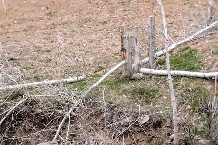 بدخشان-اورمانلرنی کیسیش ۱