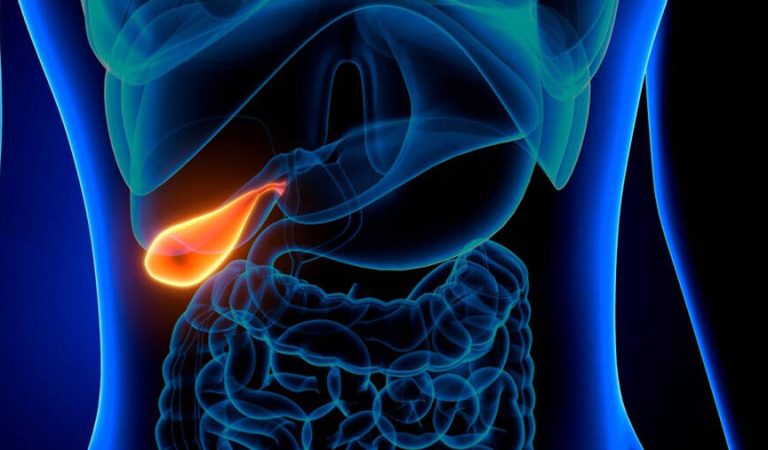 3d illustration of human internal organ gallbladder anatomy