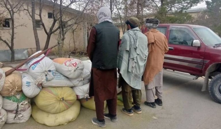 503 kilograms of raw hashish seized in Paktia