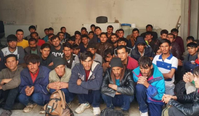 Afghan immigrants56