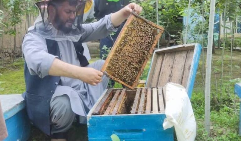 Asal Badakhshan