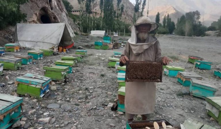 Asal nangarhar
