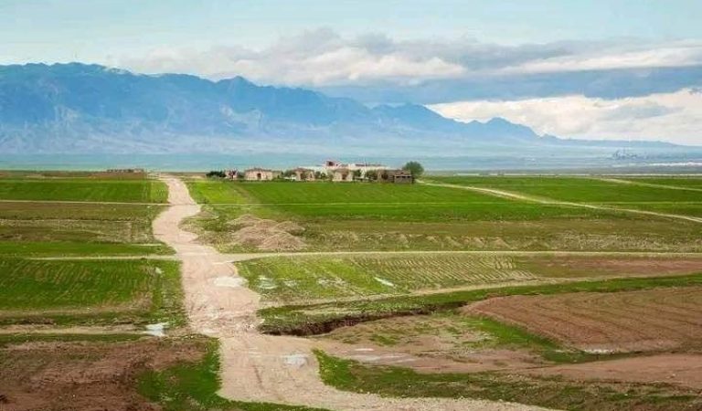 Balkh Shadyan