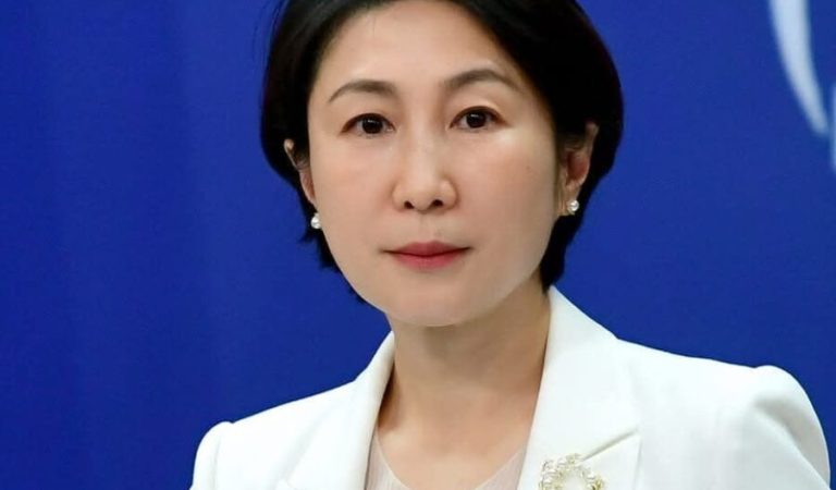 Chinese Foreign Ministry Spokesperson