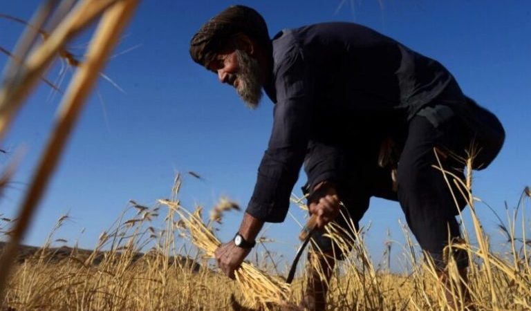 Climate-change-has-affected-the-sustainability-and-prosperity-of-agriculture-in-Ghor