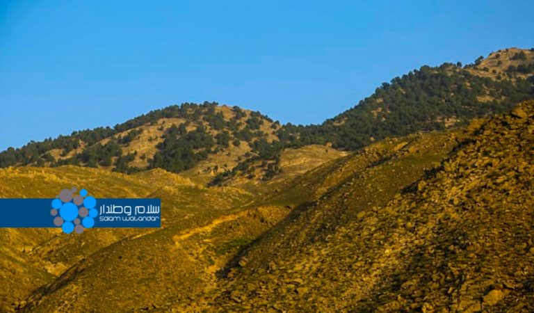 Deforestation in Kapisa 1
