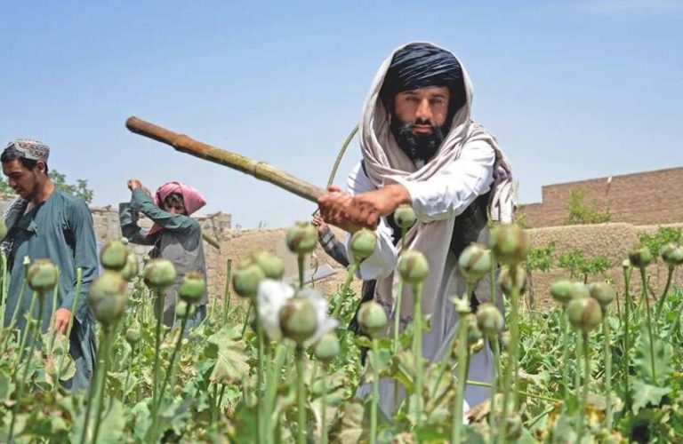 Drugs in Afghanistan
