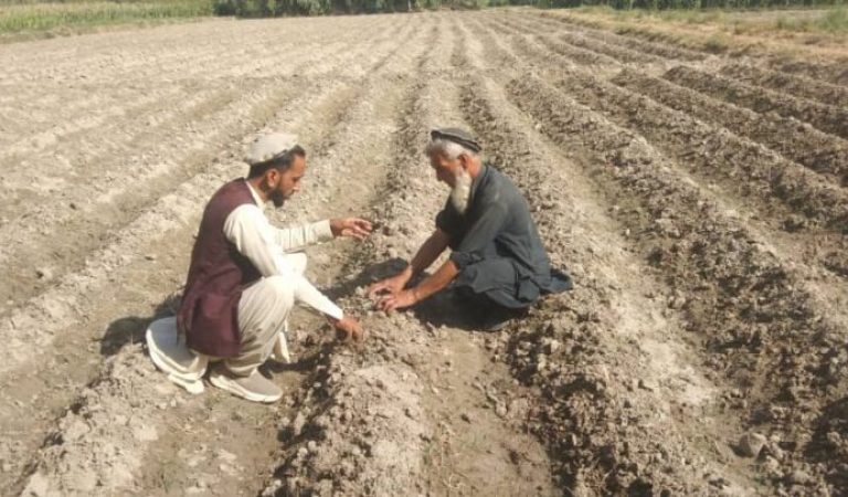 Farmers in Nangarhar Our lands are surrounded by water and salt 1
