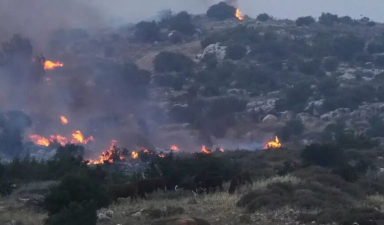 Fires in Israel