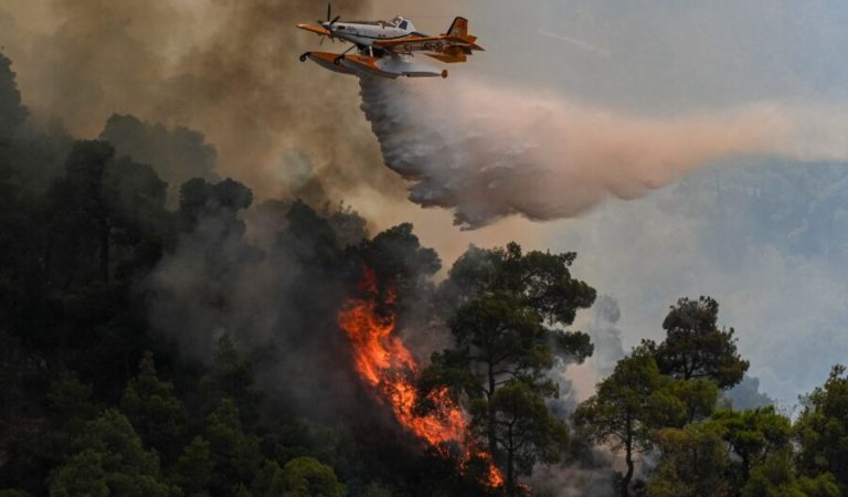 Forest fires in Türkiye