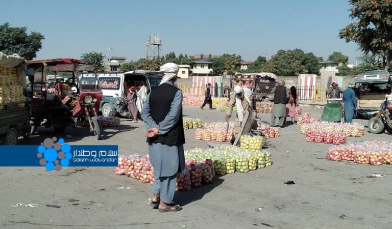 Ghazni fruits Logo1