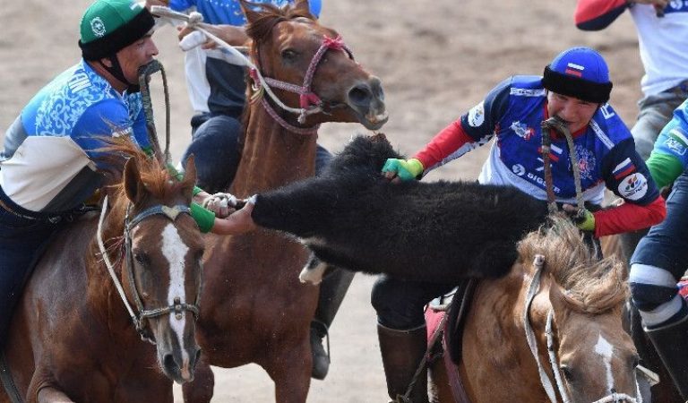 Global Nomadic Buzkashi Game